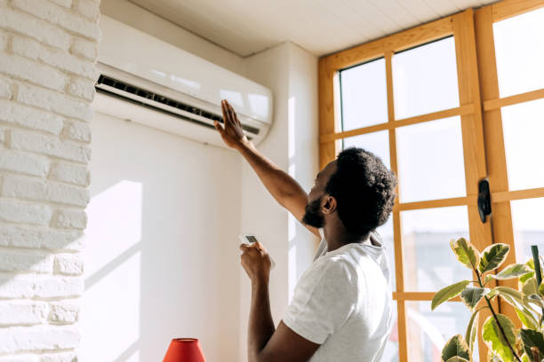 Best Local HVAC companies  in Frankston, TX